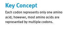 Chapter 7 RNA And The Genetic Code 15 Flashcards Quizlet