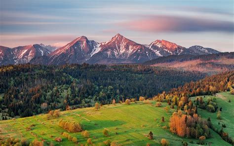 Landscape Forest Mountains Hill Nature Field Snowy Peak Morning