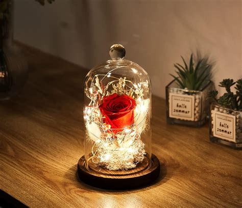 Aokkr Ewig Rose Im Glas Echte Rote Rosen Konserviert Mit Led Licht