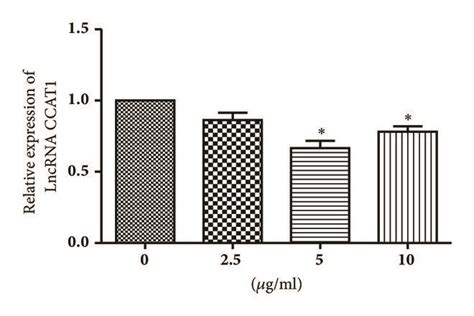 The Expression Of CCAT1 And C Myc Was Determined Using PCR A The