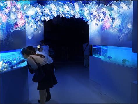 画像エプソン アクアパーク品川にて幻想的な冬の水族館が楽しめるSNOW AQUARIUM by NAKED開催の画像2 5