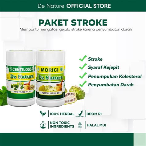 Jual Obat Penyakit Stroke Struk Struke Setruk Strok Ringan Dan Berat