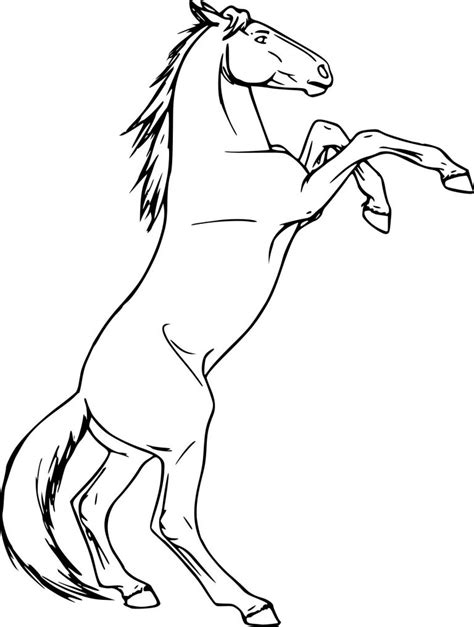 Coloriage Chevaux Qui Saute Beau Image Coloriage Cheval Cabr