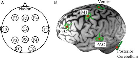 Illustration Of Electrode Montage And Tms Sites A Illustration Of