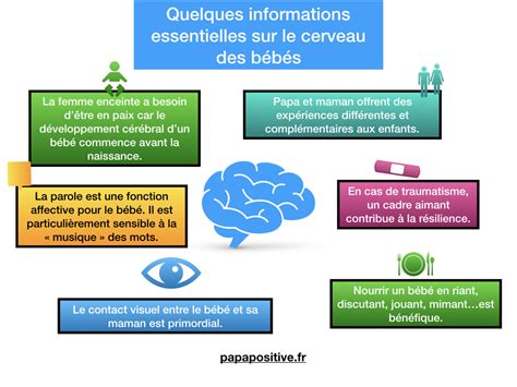 Des Informations Essentielles Sur Le Cerveau Des Bébés Par Boris Cyrulnik