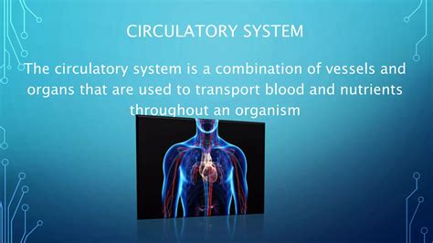 Open And Close Circulatory Systems And Examples Ppt