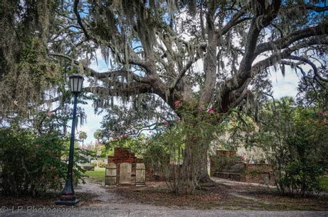 Colonial Park Cemetery Savannah Georgia - Etsy