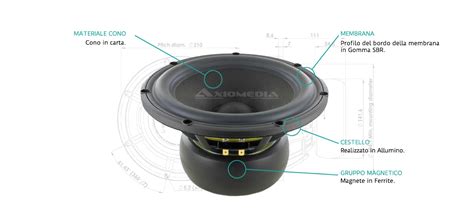 W T Woofer Scan Speak Woofer Axiomedia