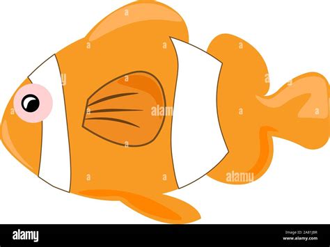 Clownfish Illustration Vector On White Background Stock Vector Image