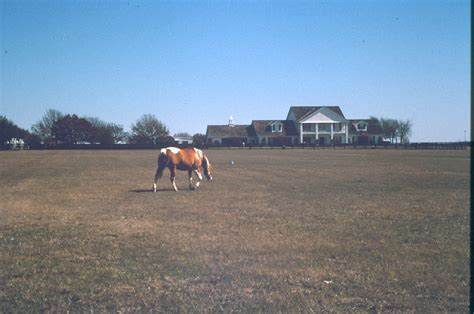 theMattocks: Southfork Ranch, Dallas, Texas