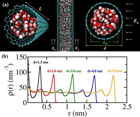 A Representative Snapshots Of The System From Molecular Dynamics