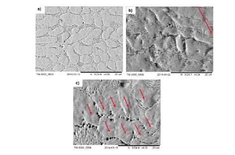 SEM Micrographs Of Samples A Homogenized H B Rolled RL And