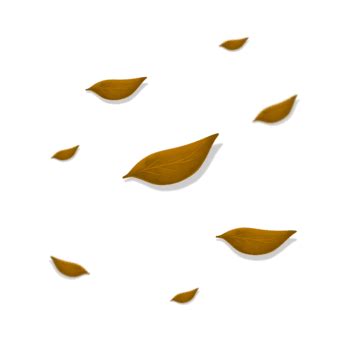 Brown Leaves Illustration, Leaves Decoration, Leaves Ornament, Leaves Handrawn PNG Transparent ...