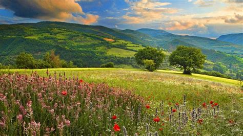 Abril Mes De La Primavera Y Las Flores Naturalimits