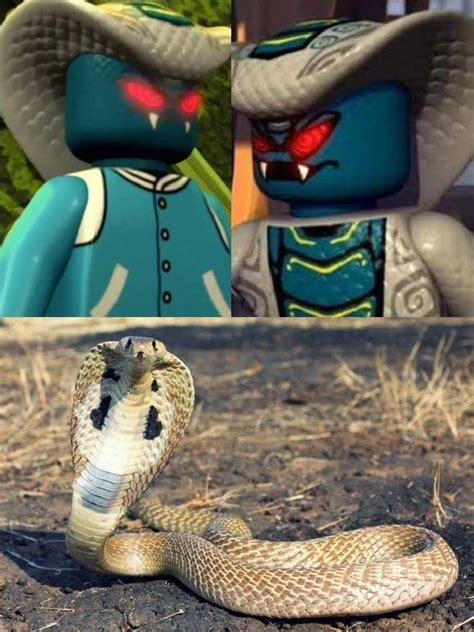 Skales Jr Y Rattla En La Vida Real Ninjago Memes Lego Ninjago Mario Funny