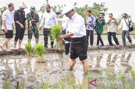 KTNA Kerahkan Petani Dukung Program Kementan Optimalisasi Lahan Rawa