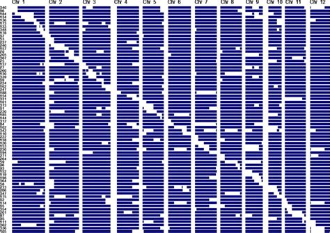 Graphical Genotypes Of 72 Introgression Lines Developed From Bengal X