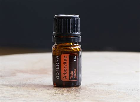 Arborvitae Essential Oil DoTERRA Essential Oils