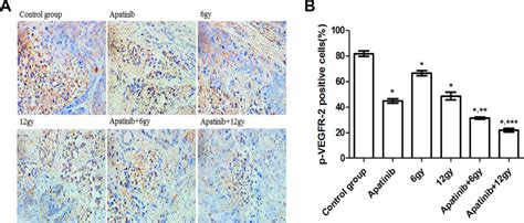 Expression Of Phosphorylation Of Vegfr 2 P Vegfr 2 In Cne 2