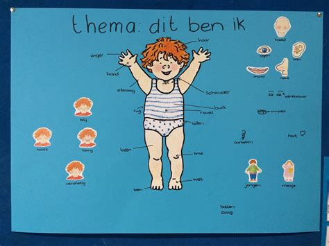 Werkblad Ik Meet Mijn Lichaam Klas Van Juf Linda Menselijk Lichaam