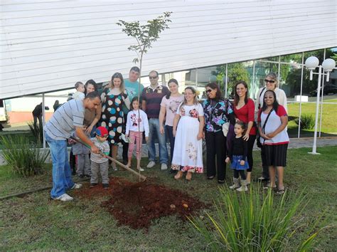 Sedema Piracicaba PLANTE VIDA Mais de 25 000 árvores em 5 anos