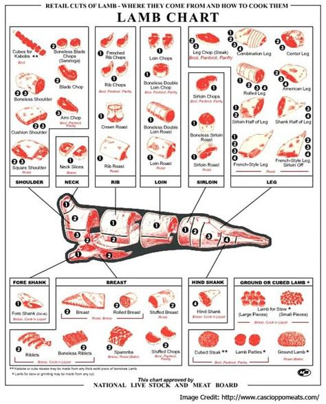 Cuts Of Lamb Guide