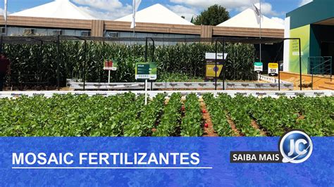 Mosaic Fertilizantes abre vagas para recém formados em quatro Estados