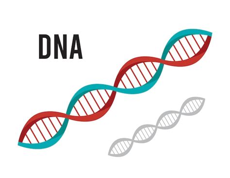 Colec O De Elementos E Cones De Sinais Gen Ticos De Dna Pictograma De