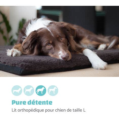 Luna Lit Pour Chien Matelas Lavable Orthop Dique Antid Rapant Respirant