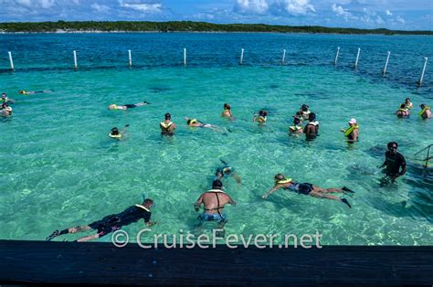 16 Things To Do In Half Moon Cay Bahamas Ultimate Guide