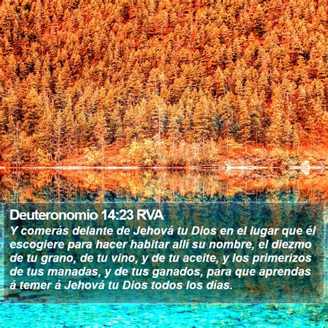 Deuteronomio 14 23 RVA Y comerás delante de Jehová tu Dios en el lugar