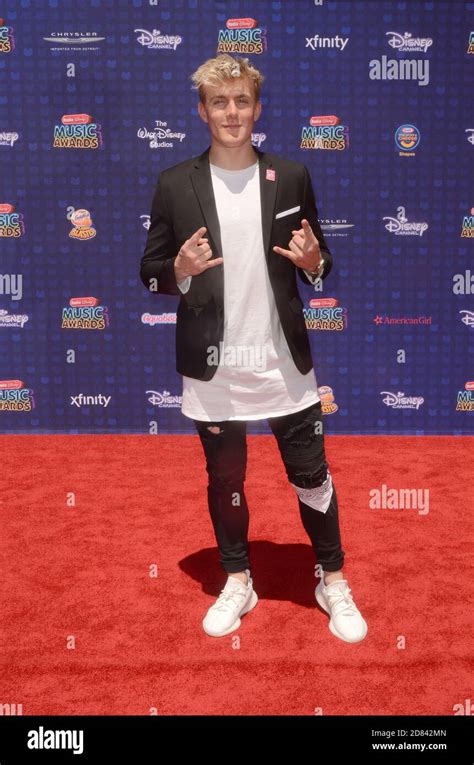 LOS ANGELES - APR 29: Jake Paul at the 2017 Radio Disney Music Awards ...