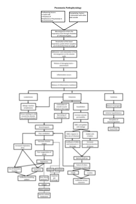 Solution Pneumonia Pathophysiology Predisposing Factors Concept Map