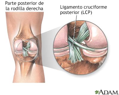 Limpiar El Piso Punta De Flecha Longitud Lesiones De La Rodilla Y Su