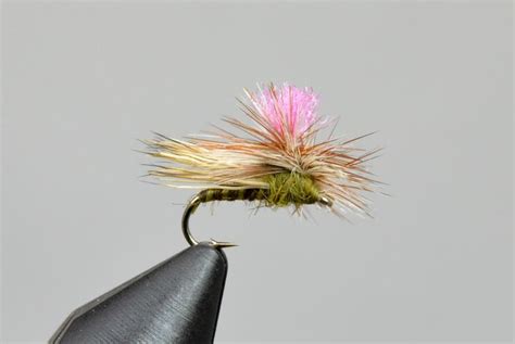 Ninchs Iceberg Caddis Galloups Slide Inn Dry Flies Caddis