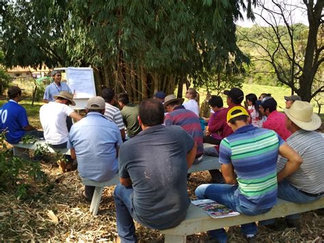 Roncador Emater Realiza Dia De Campo Sobre Bovinocultura De Leite