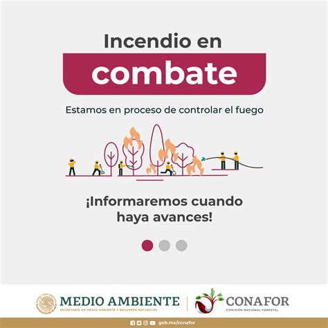 CONAFOR On Twitter El IncendioForestal Que Se Registra En El