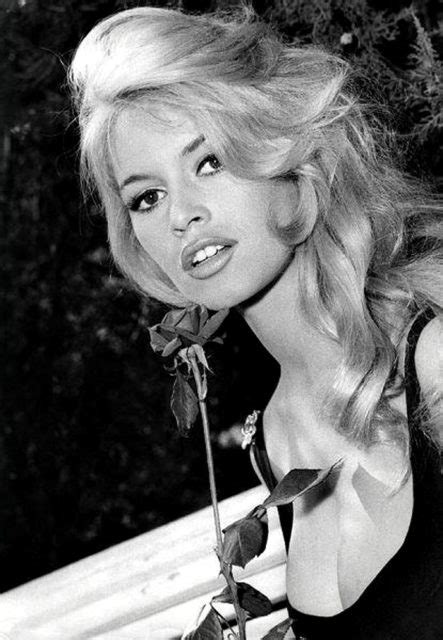 Photos Of The Lovely French Beauty And The Sex Symbol Of The 50s And 60s Brigitte Bardot The