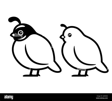 Bird line drawing Black and White Stock Photos & Images - Alamy