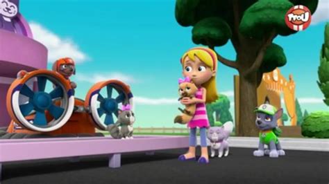 Replay Tfou Du Paw Patrol La Pat Patrouille Le