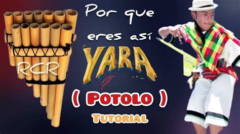 Yara Potolo Por Que Eres Asi En Zampo A Youtube