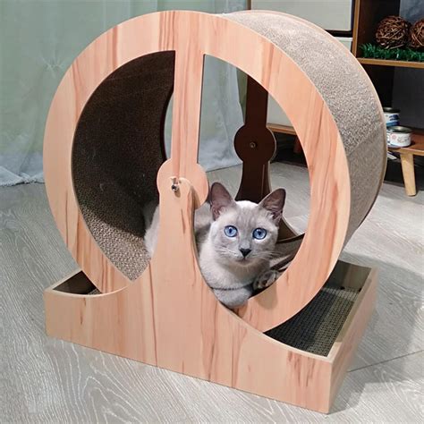 Scratching Board Cat Exercise Wheel Cat Treadmill For