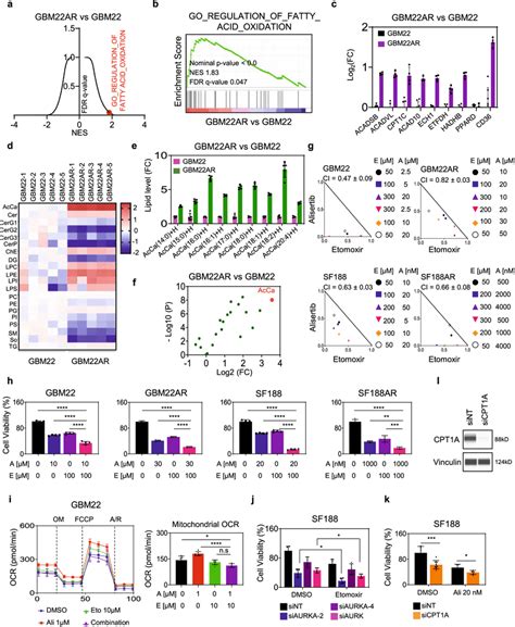 Dual Inhibition Of Fao And Aurka Elicits A Synergistic Reduction In Download Scientific Diagram