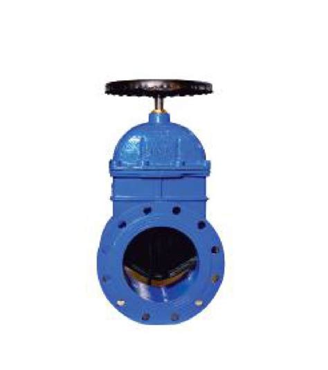 Resilient Seated Gate Valve Misc