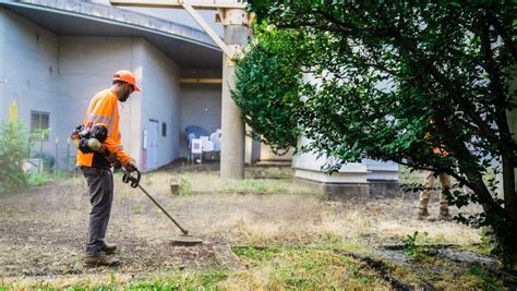 Middletown De Commercial Landscaping Acacia