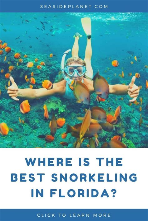 Best Beach Snorkeling In Florida Keys Florida Keys Snorkeling Spots