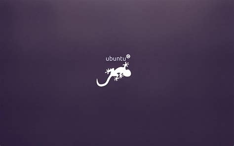 Ubuntu logo HD wallpaper | Wallpaper Flare