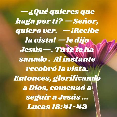 ¿qué Quieres Que Te Haga El Poder De La Oración En La Biblia