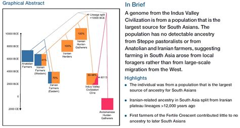 Aryan Invasion Migration Theory Receives A Body Blow Rakhigarhi