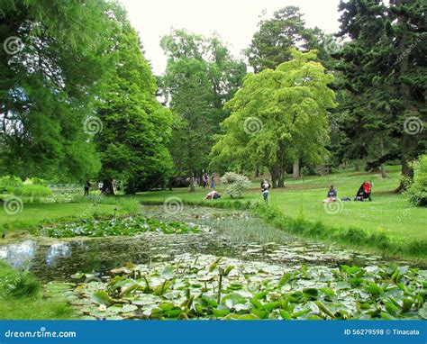 The National Botanic Gardens of Dublin Editorial Stock Photo - Image of ...